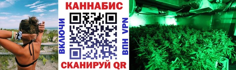 Купить где  Жиздра  Бошки Шишки LSD WEED 
